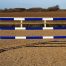 Blue & White Plastic Show Jump Poles