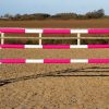 Pink and White Plastic Show Jump Poles