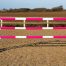 Pink and White Plastic Show Jump Poles