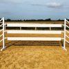 White Plastic Show Jump Planks