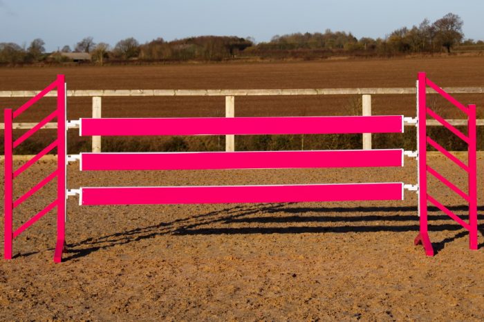 Pink Show Jump Wings