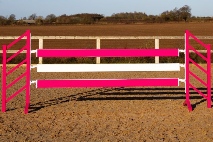 Pink Show Jump Wings