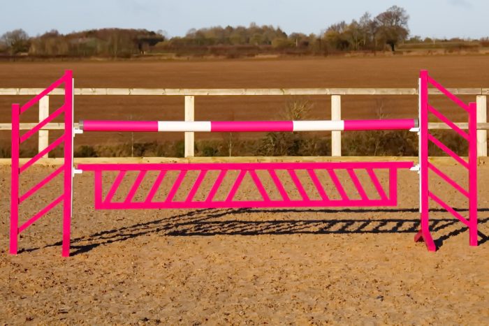 Pink Show Jump Wings