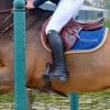 C27 Breeches - Mens - Image 2